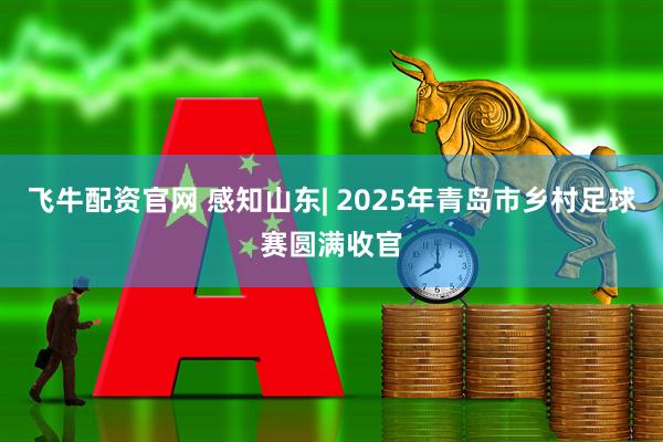 飞牛配资官网 感知山东| 2025年青岛市乡村足球赛圆满收官