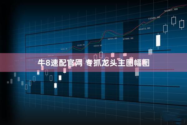 牛8速配官网 专抓龙头主图幅图